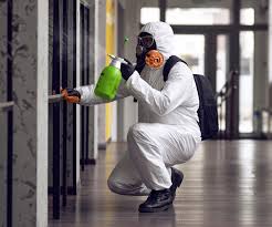 Best Industrial Mold Remediation  in Shawnee, OK